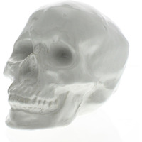 White Ceramic Skull Sculpture