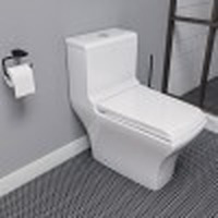 EAGO TB356 DUAL FLUSH ONE PIECE ECO-FRIENDLY HIGH EFFICIENCY LOW FLUSH CERAMIC TOILET