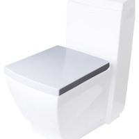 EAGO R-336SEAT Replacement Soft Closing Toilet Seat for TB336
