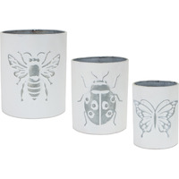 Insect Pot (Set of 3)