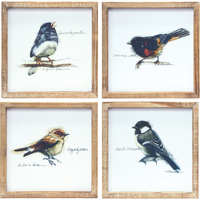 Framed Bird Print (Set of 4)