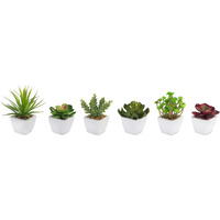 Potted Succulent (Set of 6)