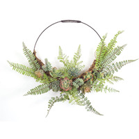 Fern and Succulent Wall Decor