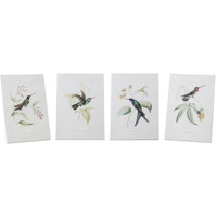 Hummingbird Print (Set of 4)