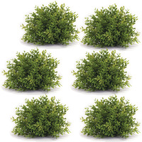 Mini Leaf Half Orb (Set of 6)