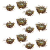 Robin's Nest w/Eggs (Set of 12)