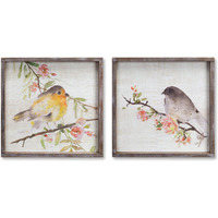 Framed Bird Print (Set of 2)