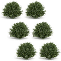 Half Orb (Set of 6)