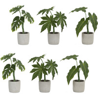 Potted Foliage (Set of 6)
