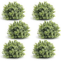 Boxwood Half Orb (Set of 6)