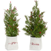 Potted Pine Tree (Set of 2)