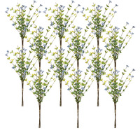 Berry Bundle (Set of 12)