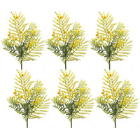 Mimosa Spray (Set of 6)
