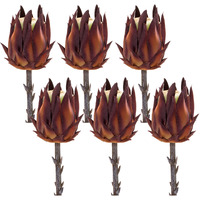 Protea Stem (Set of 6)