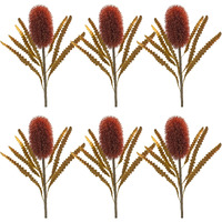 Banksia Stem (Set of 6)