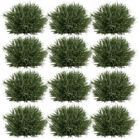 Half Orb (Set of 12)