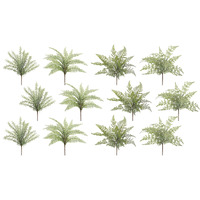 Fern Bush (Set of 12)