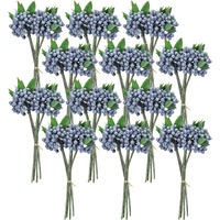 Berry Bundle (Set of 12)