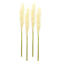 Pampas Spray (Set of 4)