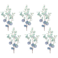 Eucalyptus Spray (Set of 6)