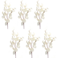 Eucalyptus Spray (Set of 6)