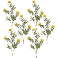 Protea Stem (Set of 6)
