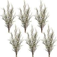 Leptospermum Bundle (Set of 6)