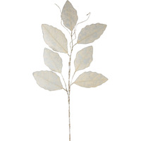 Magnolia Spray (Set of 12)