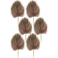 Fan Palm Leaf (Set of 6)