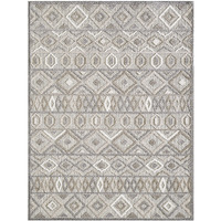 3 x 5 Gray Ivory Aztec Pattern Indoor Outdoor Area Rug