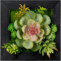 Succulent Wall Box (Set of 6)
