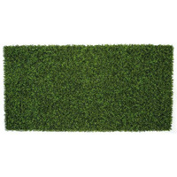 Autograph Foliages AUV-180080 103 in UV Boxwood Mat  green