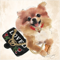 Empire Art Direct TMP-JP1056-2020 Pomeranian Unrameled Free Floating Tempered glass Panel graphic Dog Wall Art Print - 20 x 20 in