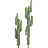 Autograph Foliages A-195634 70 in Saguaro cactus Plants, Blue & green