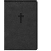 KJV Everyday Study Bible  charcoal Leather Touch