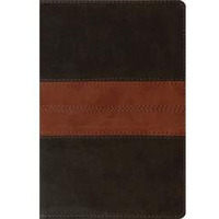 ESV Personal Reference Bible-Deep Brown & Tan Trail Design TruTone Book