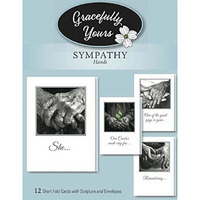 Artbeat Of America 203260 Boxed card-Sympathy-Hands No 146 - Box of 12