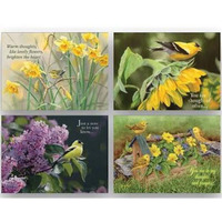 crown Point graphics  2-Birds Shared Blessings-Thinking of You cards  Box of 12