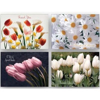 crown Point graphics  1-coastal Shared Blessings-Thinking of You cards  Box of 12