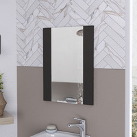 Barrington Rectangle Mirror Black Wengue(D0102H765S6)