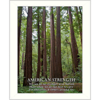 American Strength 4 White Framed Print Wall Art