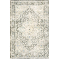 5 X 7 grey Ivory And Blue Oriental Power Loom Stain Resistant Area Rug