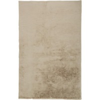 2 X 3 Tan Shag Area Rug