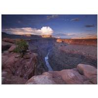Colorado River from Toroweap Overlook, Grand Canyon National Park, Arizona-Paper Art-34"x26"