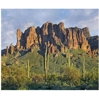 Saguaro cacti and Superstition Mountains, Lost Dutchman State Park, Arizona-Paper Art-24"x20.26"