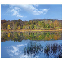 Deciduous forest along Lackawanna Lake, Ricketts Glen State Park, Pennsylvania-Paper Art-24"x21.36"