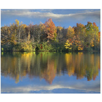 Deciduous forest in autumn along Price Lake, Blue Ridge Parkway, North Carolina-Paper Art-46"x39.4"