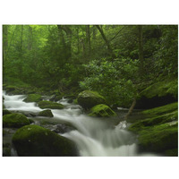 Roaring Fork River flowing through the Great Smoky Mountains National Park, Tennessee-Paper Art-18"x14"