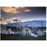 Norris Geyser basin with steam plumes from geysers, Yellowstone National Park, Wyoming-Paper Art-26"x20"