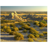 Coyote Bush and eroded features bordering grasslands, Badlands National Park, South Dakota-Paper Art-26"x20"